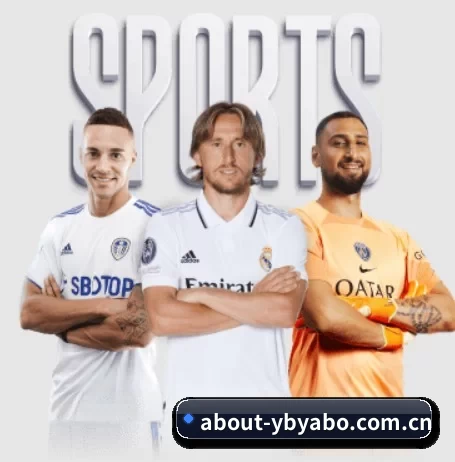 about-ybyabo.com.cn的方向 - 长期内容价值积累